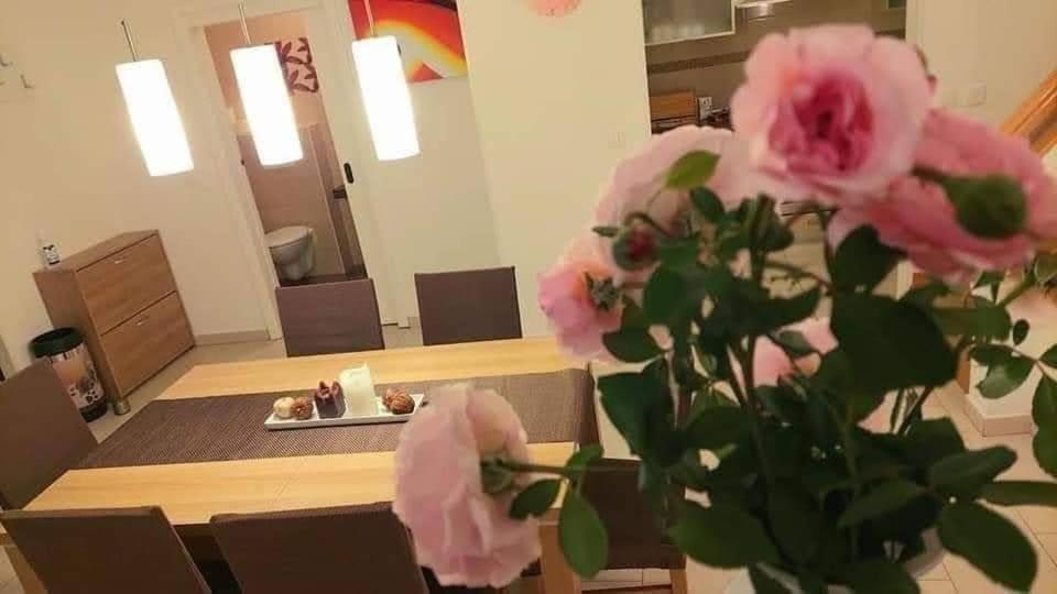 Villa Danica Labin  Dış mekan fotoğraf