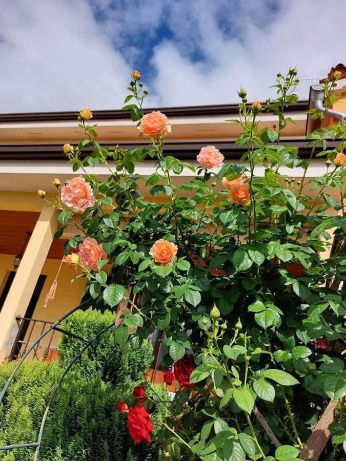 Villa Danica Labin  Dış mekan fotoğraf