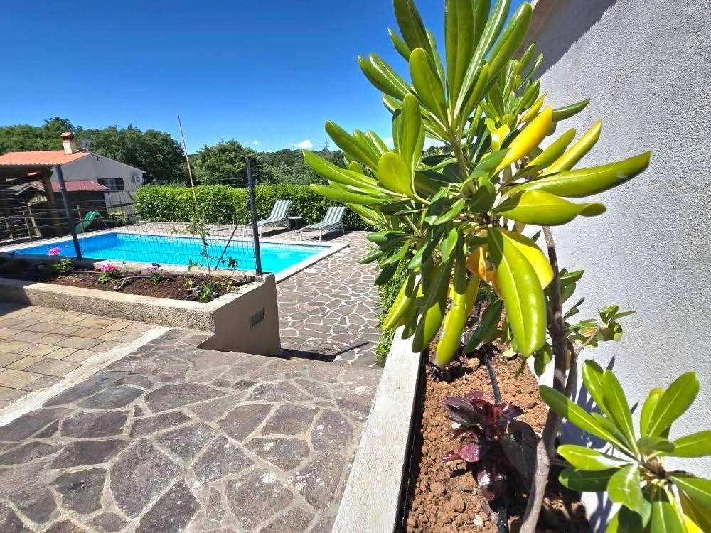 Villa Danica Labin  Dış mekan fotoğraf